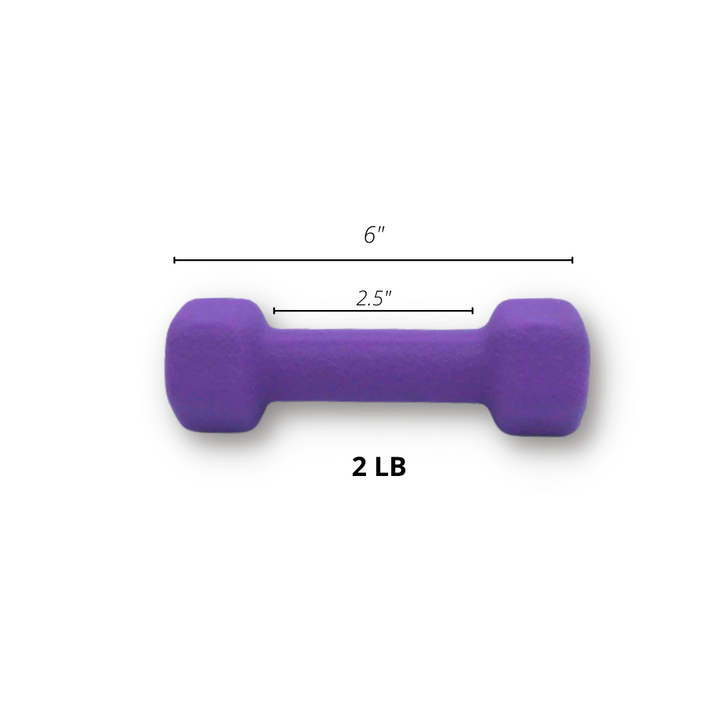 2lb dumbbell pair