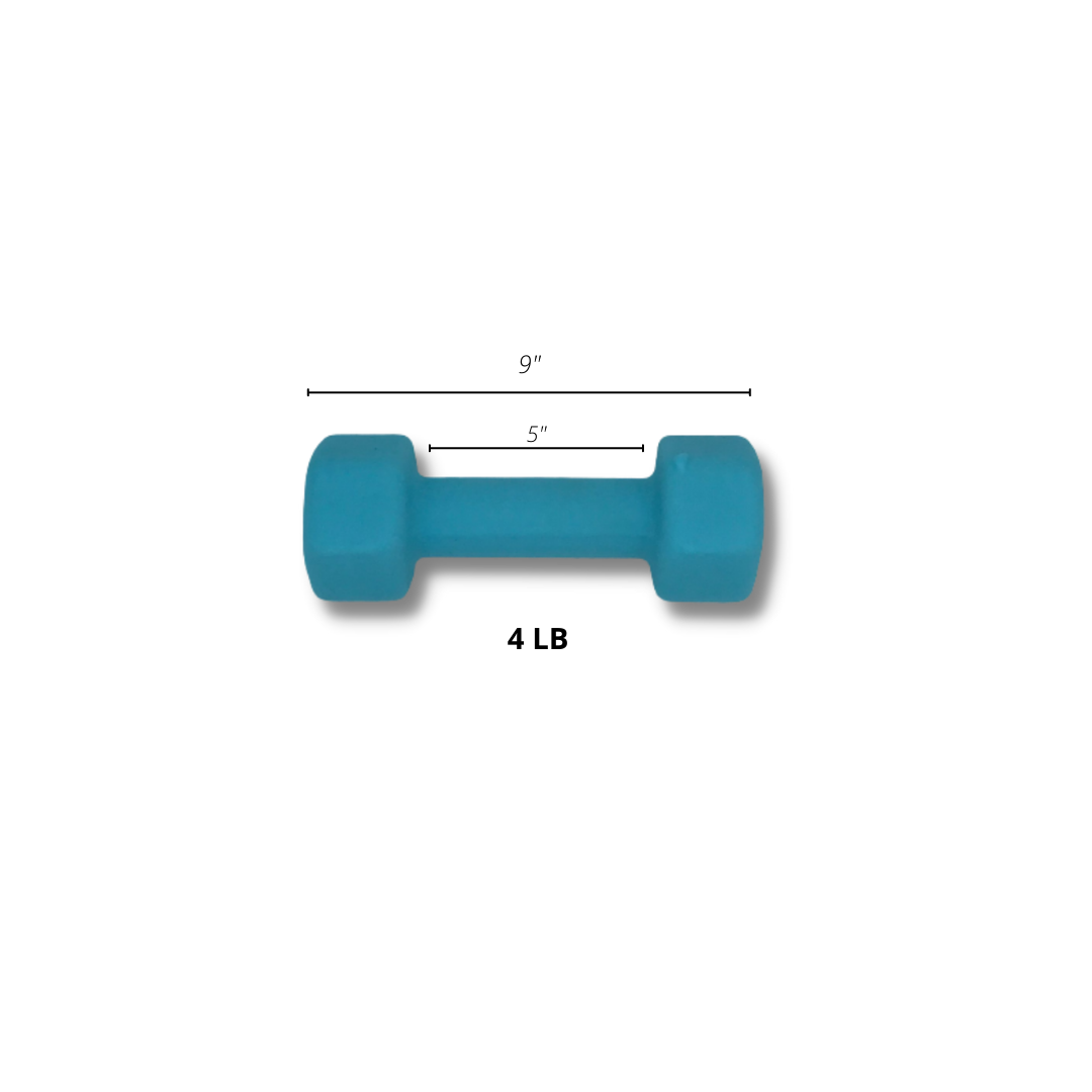 Dumbbells (19)