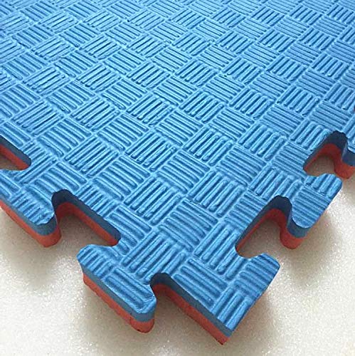 Interlocking-hajex-mat-double-color-blue-red