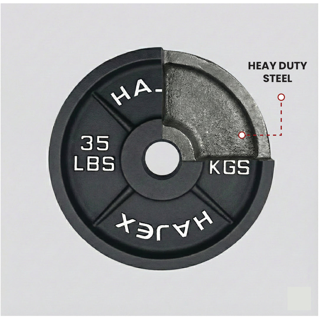 Cast Iron Weight Plates - Standard, Olympic in LBs, KGs